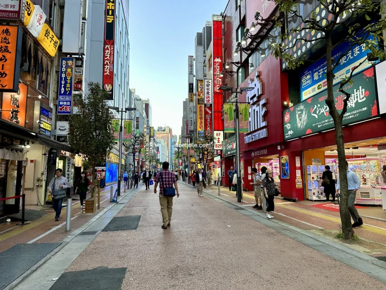 Quartier Shinjuku (Tokyo): que faire, que voir?