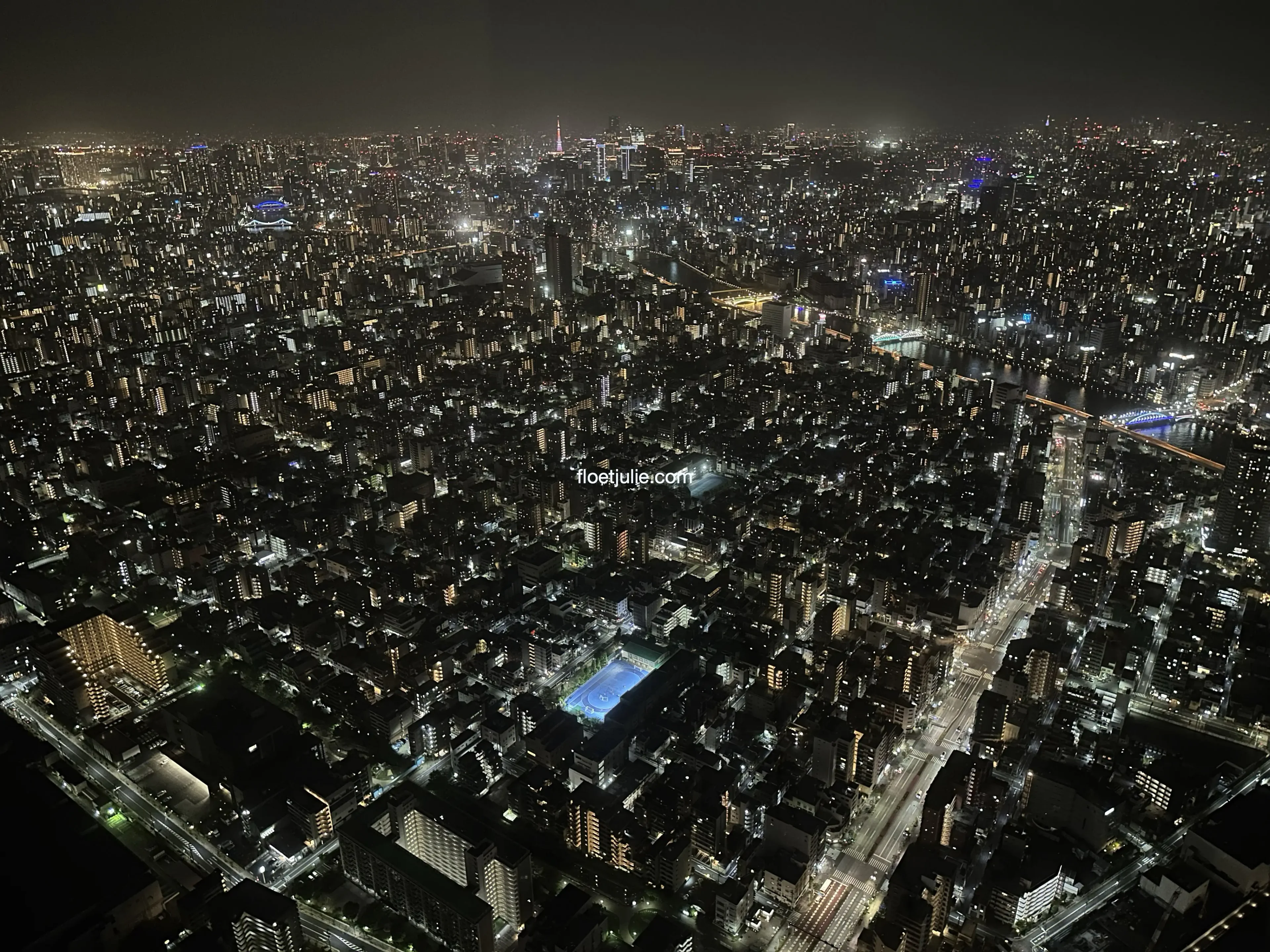 Visite de la tour Tokyo SkyTree: comment y monter ?