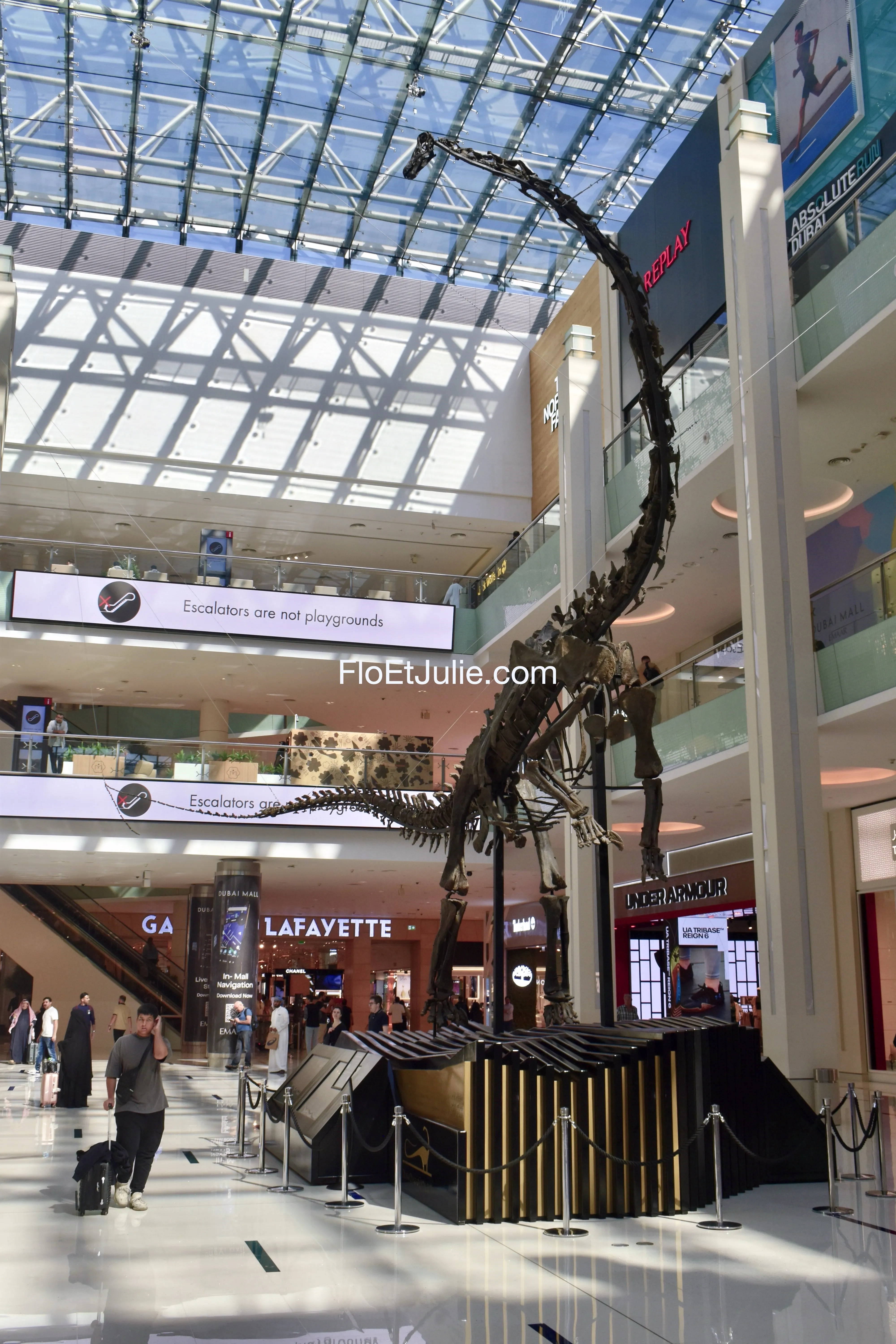 Curiosité du Dubai Mall