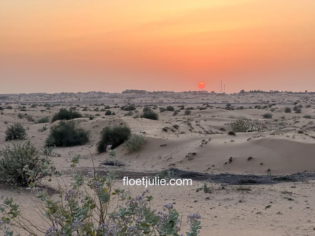 Le coucher de Soleil depuis une dune prĂšs du Campement