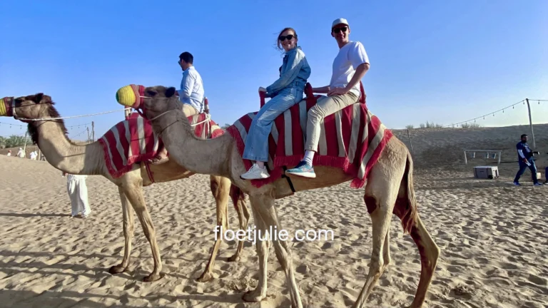 Notre expérience du Safari dans le Désert de Dubai